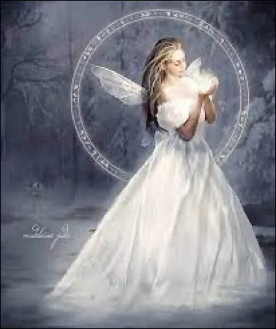 Quelle magie pr&eacute;f&eacute;rez-vous ?