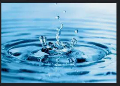 Quel élément préférez-vous ?