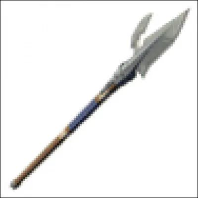 Cette lance se nomme...