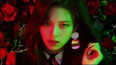 Quel est le programme qui a permis de choisir les membres ?