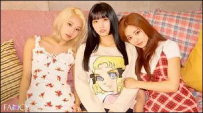 Qui sont-elles ?
(de gauche à droite)