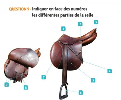 Comment s'appelle la partie n°8 ?