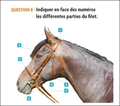 Comment s'appelle la partie n°6