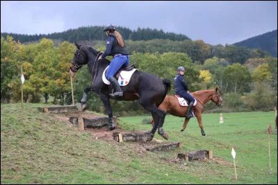 Quel est le nom de cette discipline ?