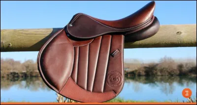 Quelle réponse ne fait pas partie de la selle ?