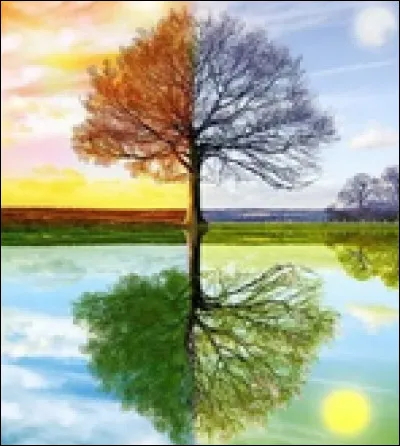 Lors de quelle saison es-tu née ?