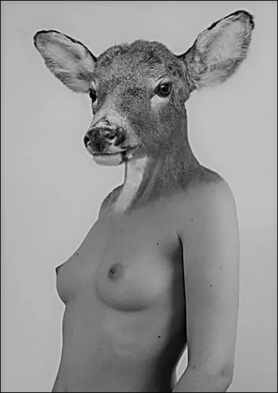 La biche de Cérynie était un animal faisant partie de lattelage de la déesse grecque ;