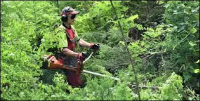 Comment s'appelle la personne qui s'occupe de l'exploitation ainsi que de l'entretien d'une forêt ?