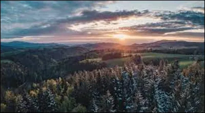 Dans quel pays d'Europe trouve-t-on la Forêt-Noire ?