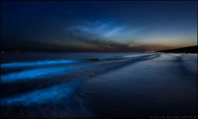 Qui chantait "La Mer" ?