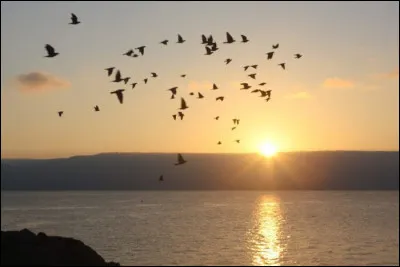 Quel nom de mer est donné au lac de Tibériade ?