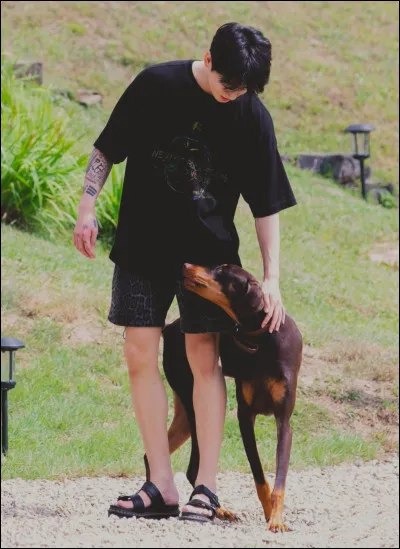 Comment le chien de Jungkook s'appelle-t-il ?