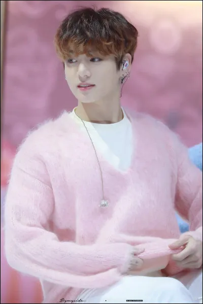 Quelle est la passion de Jungkook ?