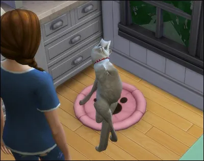 Y a-t-il beaucoup de bugs ?