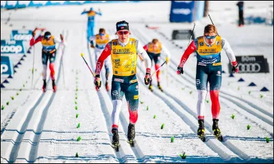 Quelle médaille le fondeur Francesco De Fabiani a-t-il gagnée lors du sprint par équipes aux Championnats du monde à Seefeld ?