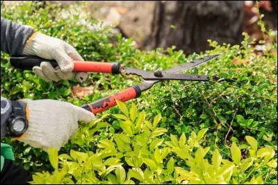 Quelle activité le taillandier pratique-t-il ?