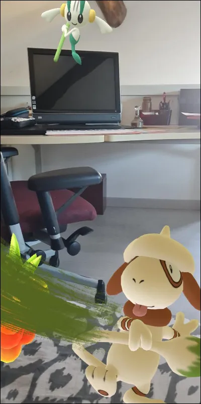 Comment s'appelle ce Pokémon ?