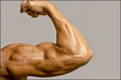 Comment est ton caract&egrave;re, d'apr&egrave;s toi ?