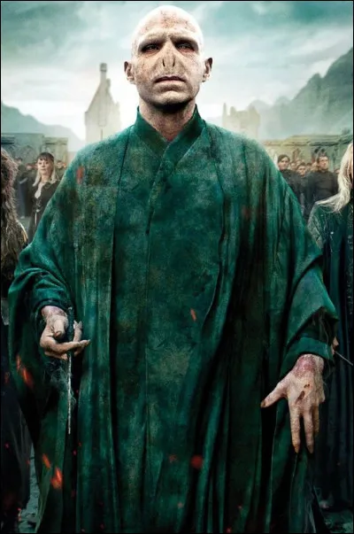Que penses-tu de Voldemort ?