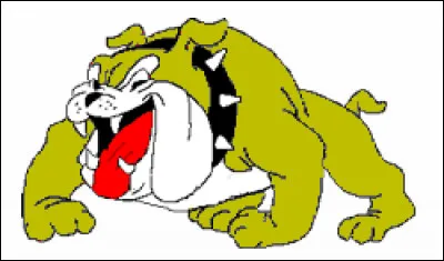 Vous venez de lire dans le magazine "Voici" que le chien adopté par Alain Delon est dominant donc forcement agressif.