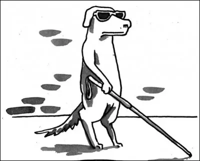 Après consultation, votre vétérinaire vous annonce que votre cocker âgé de 3 ans soufre dune cataracte.