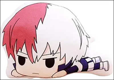 Sa brûlure se situe...