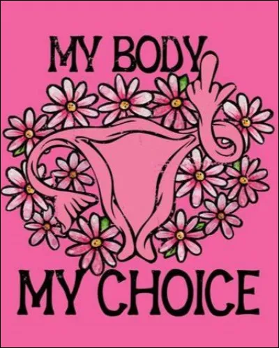 Quand la loi sur la dépénalisation partielle de l'avortement a-t-elle été votée en Belgique ?