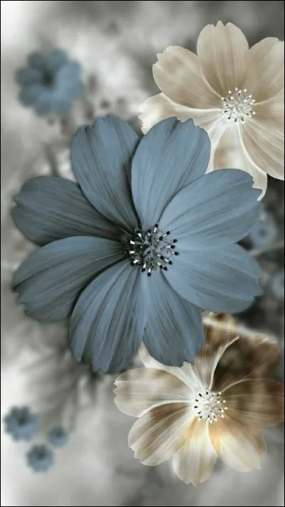 Dans la religion yézidie, quel ange a été créé un mercredi ?