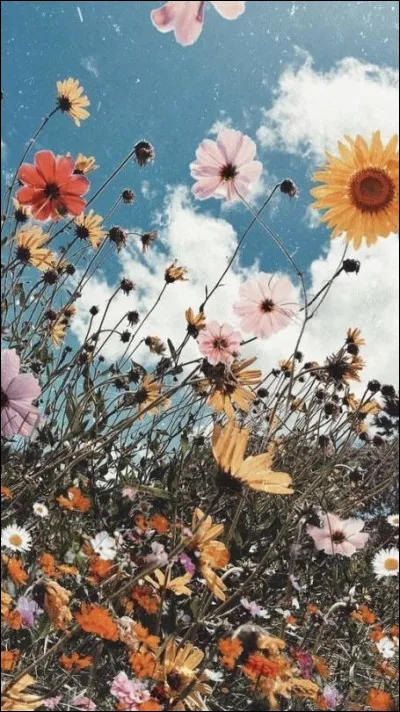 A quel stade a-t-on un cancer métastatique ?