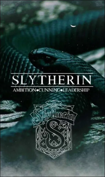 Pourquoi la maison Serpentard a-t-elle mauvaise r&eacute;putation alors que c'est la meilleure ?