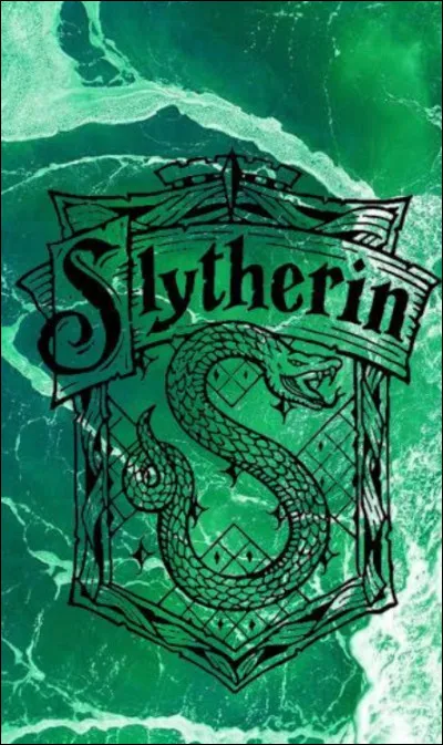 Pourquoi tout le monde d&eacute;teste-t-il Voldemort ? (&Agrave; part les Mangemorts et lui-m&ecirc;me bien s&ucirc;r)