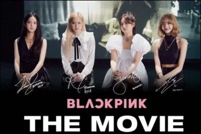 Ont-elles sorti un documentaire sur elles ?