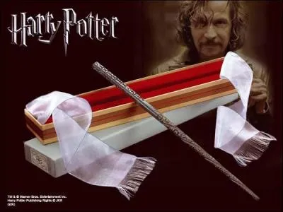 Quel personnage clbre est sorcier ?