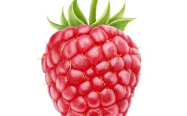 Quiz Fruits