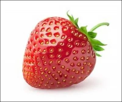 Comment appelle-t-on le maïs au Canada ?