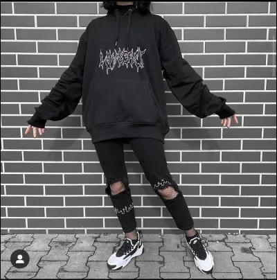 Ton style vestimentaire est :