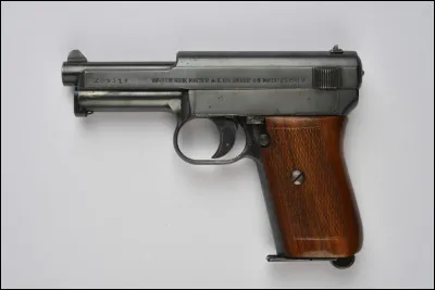 C'est pas le pied, le livre de 2004, est de...