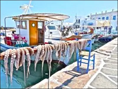 Dans le port de Náoussa, on peut admirer ces poulpes en train de sécher au soleil. Sur quelle île sommes-nous ?