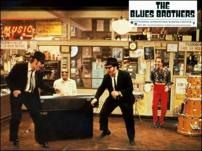 "Les Blues Brothers" est le titre d'un film interprété par James Belushi.