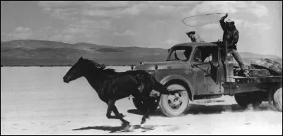 "Les Desaxés" est un film joué par Marilyn Monroe.