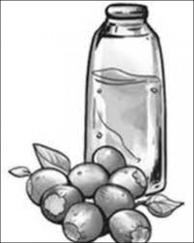 Quelle est cette boisson ?