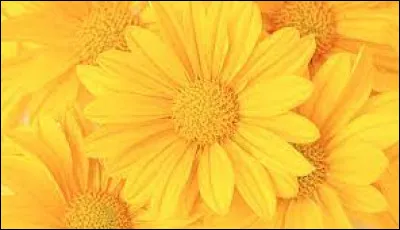 Quelle est cette couleur ?