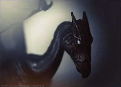 Quelle est la particularité des Sombrals ?