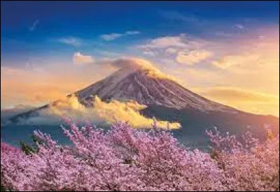 Parmi les pays proposés ci-dessous, lequel préfères-tu ?