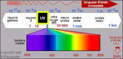Tu penches plus pour :