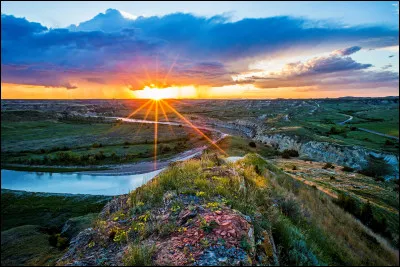 Quel est ton comportement dans la nature ?