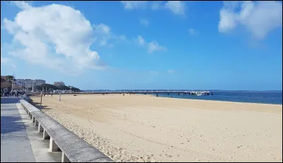 Qui a écrit "Brazzaville Plage" ?