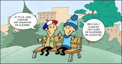 Voici trois mots québécois et un mot de Côte d'Ivoire. Lequel est-ce ?