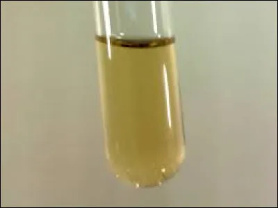 Quel est le symbole chimique du fluor ?