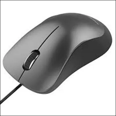 En quelle année a été inventée la souris informatique ?